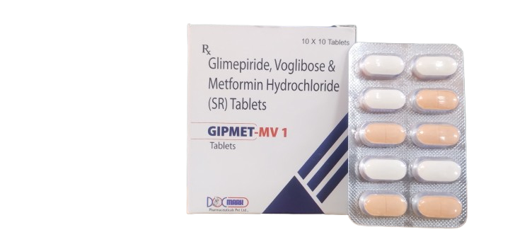 GIPMET-MV1